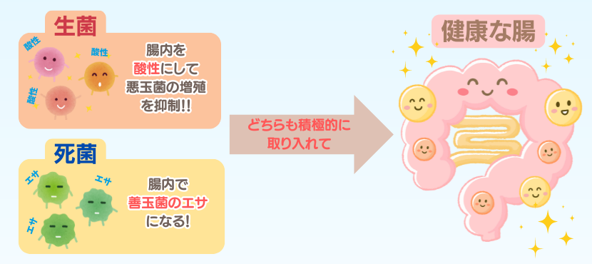 乳酸菌の「生菌」と「死菌」の違い - ベストアイテム 乳酸菌の生菌と死菌の違い