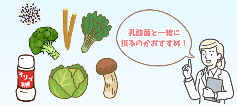 乳酸菌と相性のよいサポート成分 - ベストアイテム 乳酸菌と相性のよいサポート成分