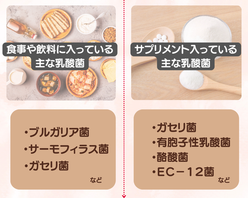 乳酸菌の種類とそれぞれの特徴 - ベストアイテム 乳酸菌の種類とそれぞれの特徴