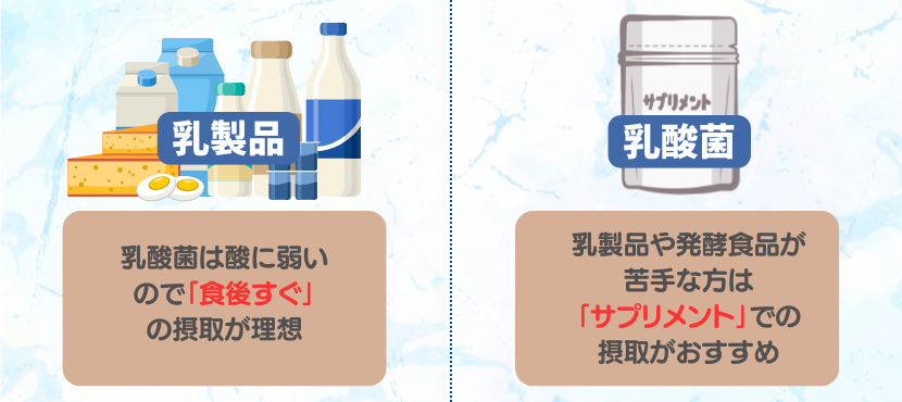 乳酸菌の摂取タイミング - ベストアイテム 乳酸菌の摂取タイミング