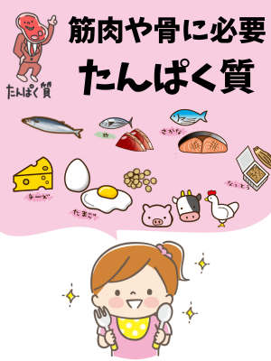 筋肉や骨に必要なたんぱく質 - ベストアイテム 筋肉や骨に必要なたんぱく質